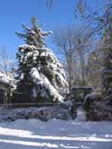 Early snow in our garden